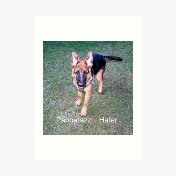 Papparazzi Hater Art Print