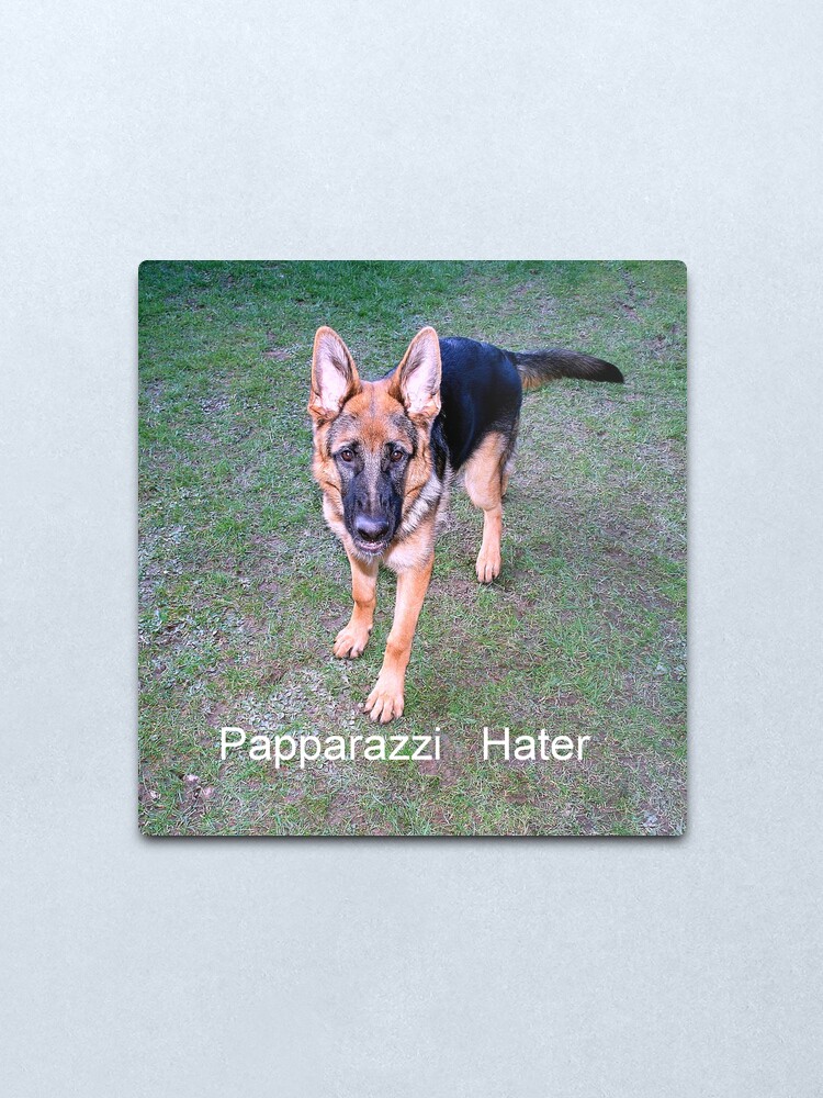 Alternate view of Papparazzi Hater Metal Print