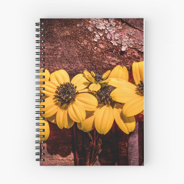 Item preview, Sunlit Susans designed and sold by Jim Love.