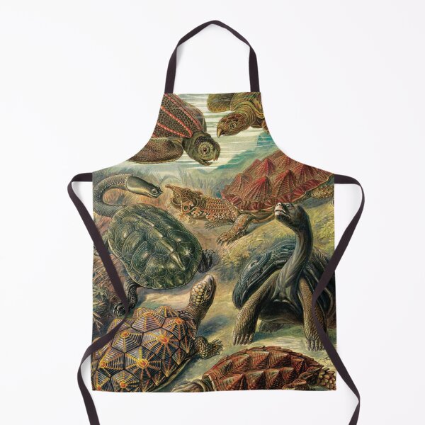 Item preview, Ernst Haeckel Illustration of Diverse Turtle Species designed and sold by InnerCitadel.