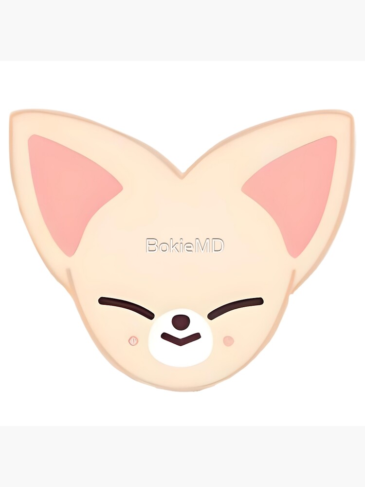 FOXI.NY SKZOO, STRAY KIDS I.N. JEONGIN 