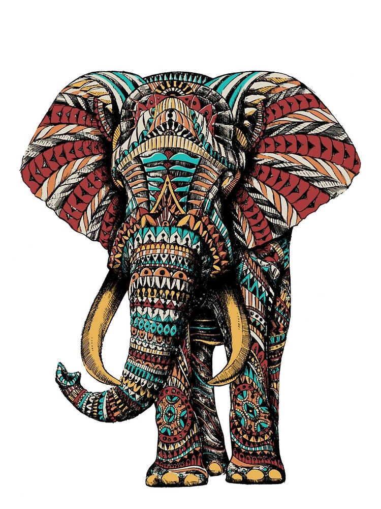 Ornate Elephant (Color Version) by BioWorkZ