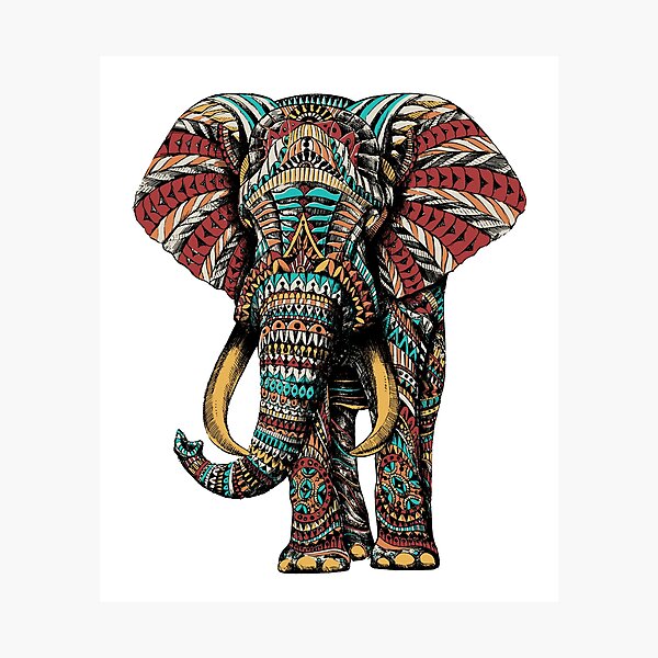 Ornate Elephant (Color Version) Photographic Print