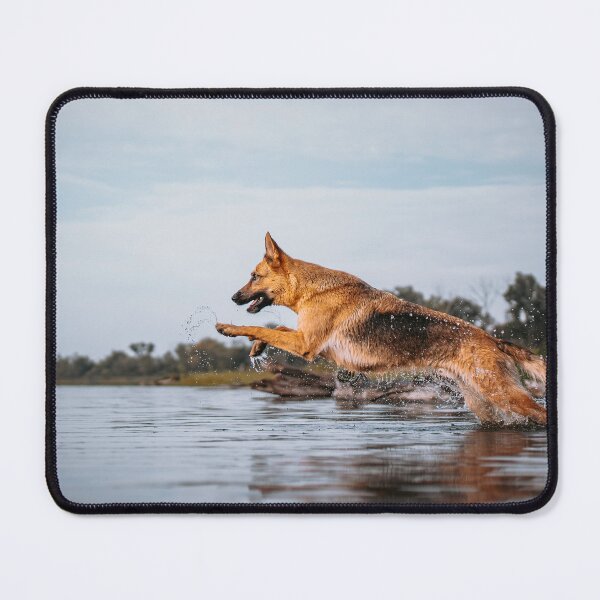Item preview, German Shepherd Photography Running in Water designed and sold by overdosed-art.