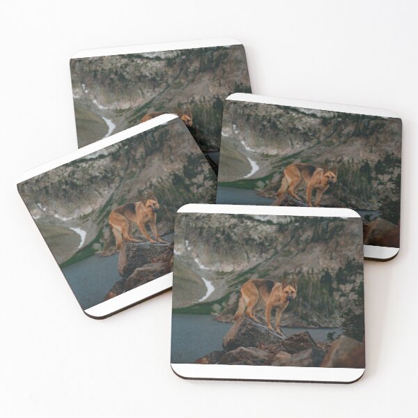 Item preview, Copy of German Shepherd Photography designed and sold by overdosed-art.