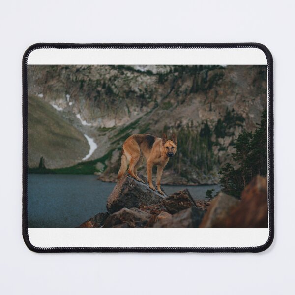 Item preview, Copy of German Shepherd Photography designed and sold by overdosed-art.