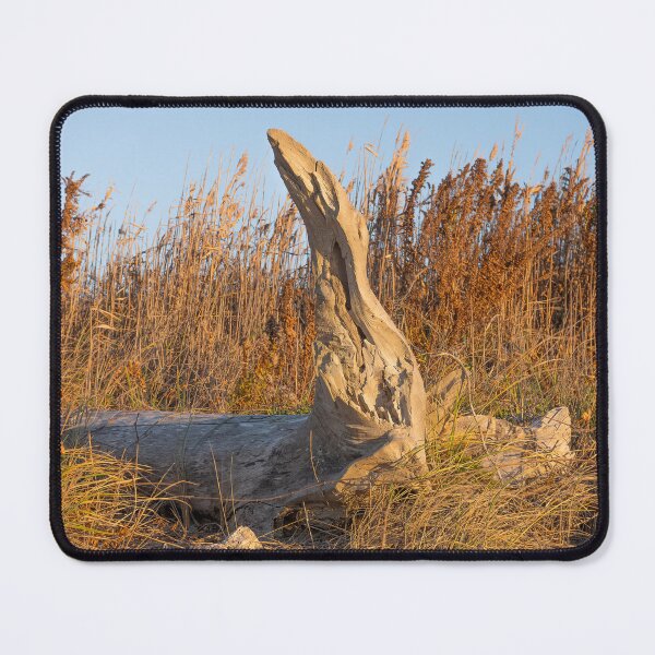 Item preview, Drift Wood designed and sold by Lauren1235.