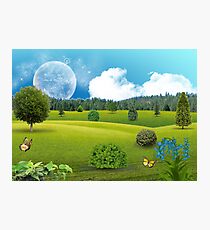 Nature Photographic Print