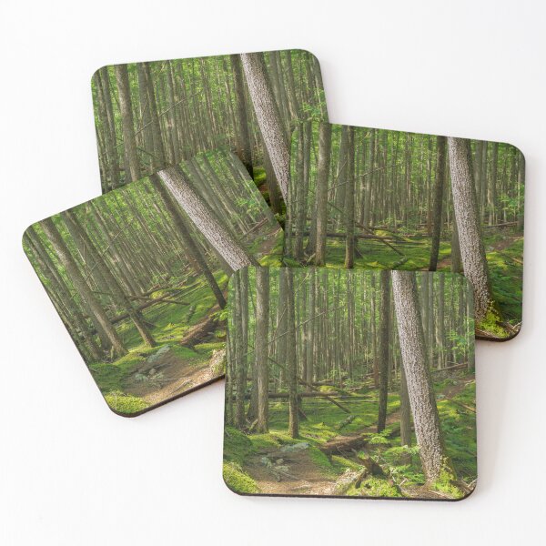 Artikelvorschau, Waldweg entworfen und verkauft von Mullwell Photography.
