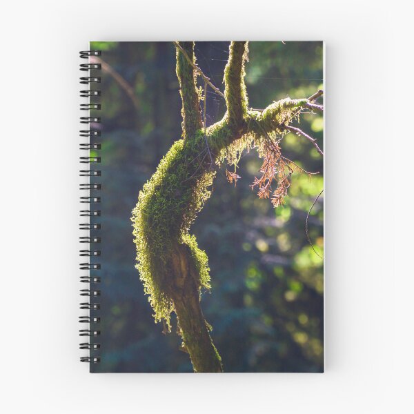 Item preview, Moss Covered Deadwood designed and sold by Mullwell Photography.
