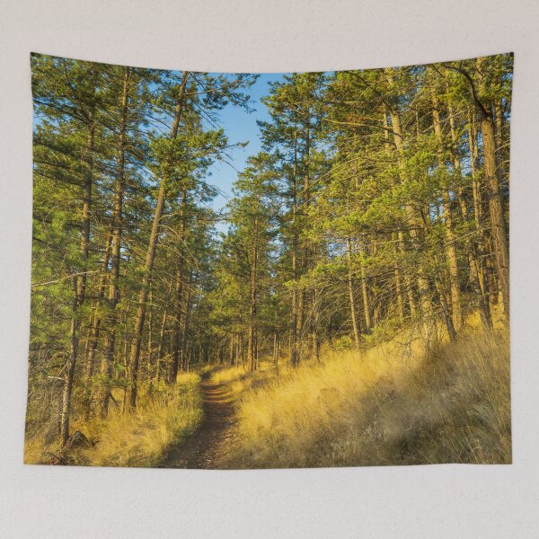 Item preview, Glenmore Highlands Trail designed and sold by Mullwell Photography.
