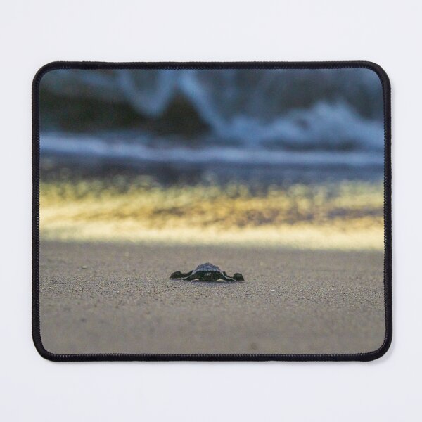 Item preview, The Journey Begins designed and sold by Mullwell Photography.