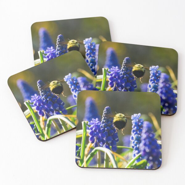 Item preview, Passing Through designed and sold by Mullwell Photography.