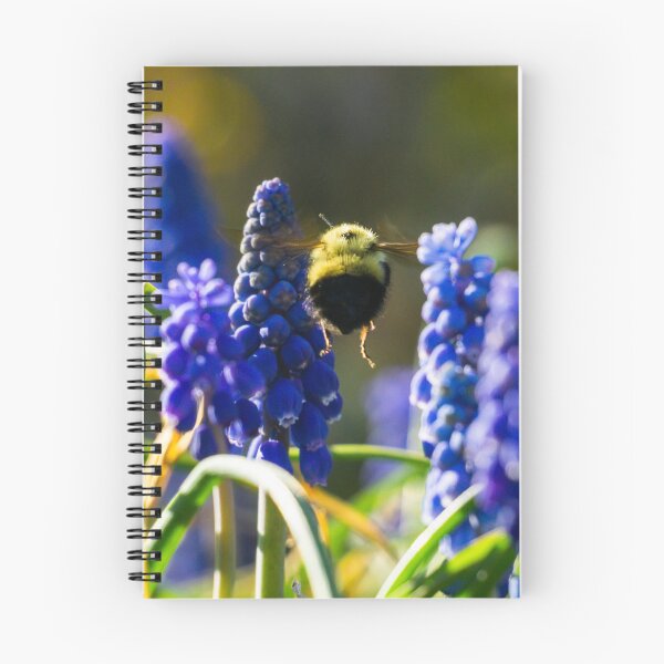 Item preview, Passing Through designed and sold by Mullwell Photography.