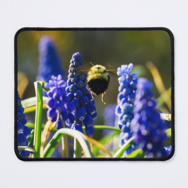 Passing Through Mouse Pad