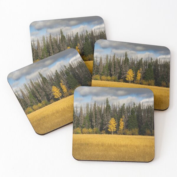 Item preview, Fall in the Evergreens designed and sold by Mullwell Photography.