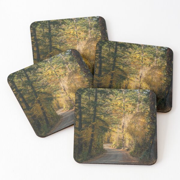 Item preview, Autumn Roads designed and sold by Mullwell Photography.