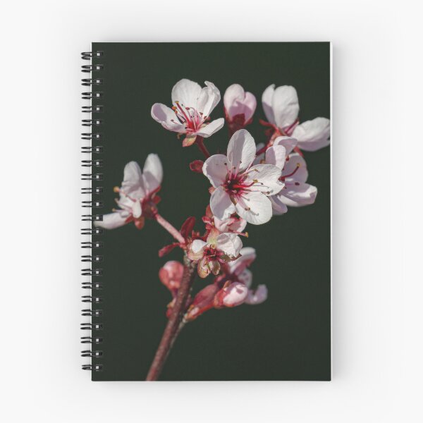 Item preview, Spring Blossoms designed and sold by Mullwell Photography.