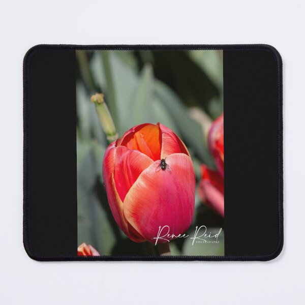 Item preview, Tulip plus a fly designed and sold by RREID84.