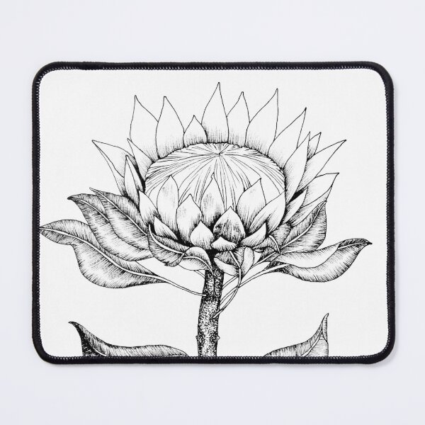Item preview, Protea Line Drawing designed and sold by madirosedesigns.