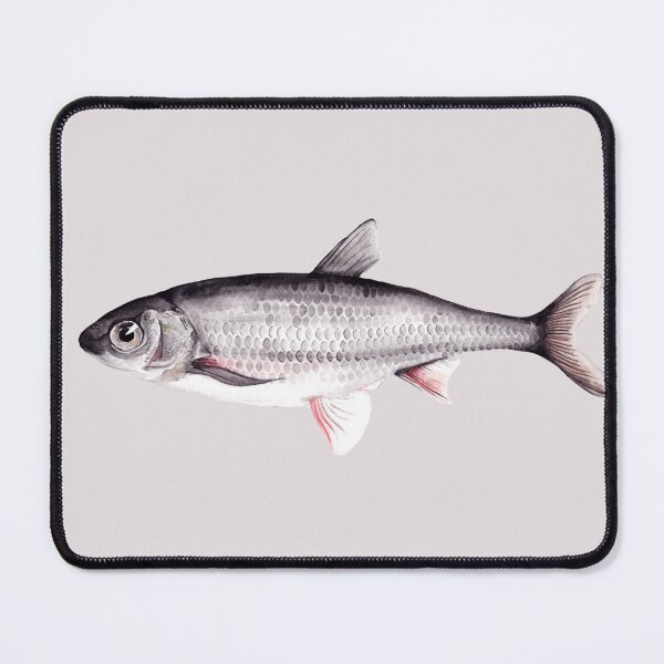 Item preview, Pez pececillo acuarela gris designed and sold by madirosedesigns.