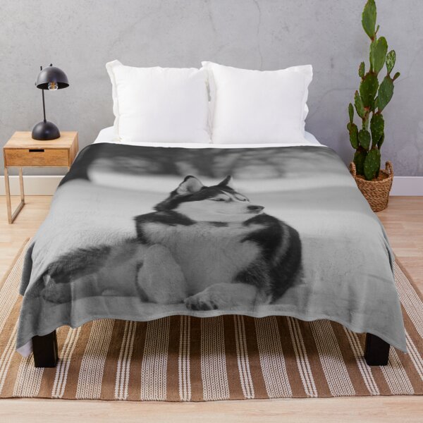Item preview, A Purebred Husky Inspects His Territory in Snow - Black and White designed and sold by myhuskymax.