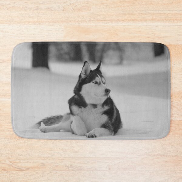 Item preview, A Purebred Husky Inspects His Territory in Snow - Black and White designed and sold by myhuskymax.