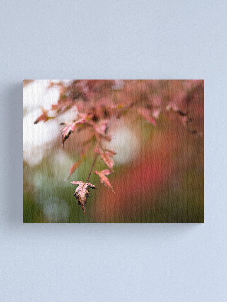 Thumbnail 1 of 3, Canvas Print, Fall designed and sold by darren-j-mcleod.