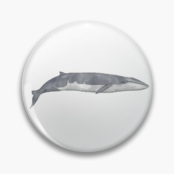 Item preview, Fin whale designed and sold by WhaleZo.