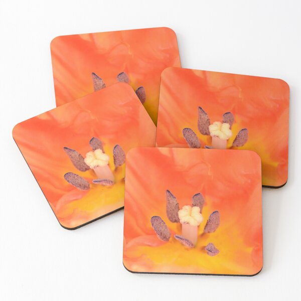 Item preview, Tulipa  'Monarch Parrot'  Tulip  Parrot Group  designed and sold by Chris Burrows.