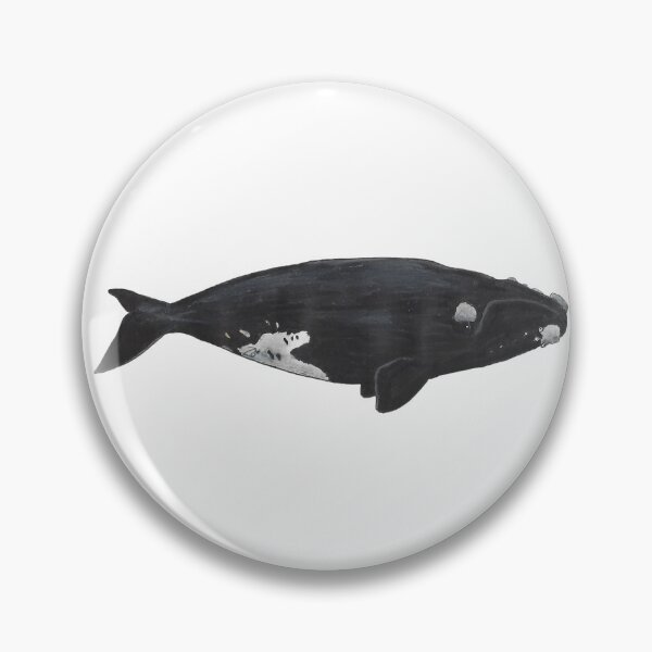 Item preview, Southern Right Whale designed and sold by WhaleZo.