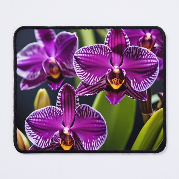Item preview, Beauty designed and sold by LittleSparrow12.