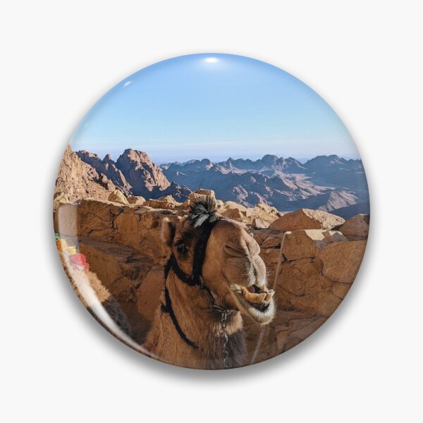Item preview, Photo of Camel on Mt Sinai in Egypt designed and sold by caitkontalis.