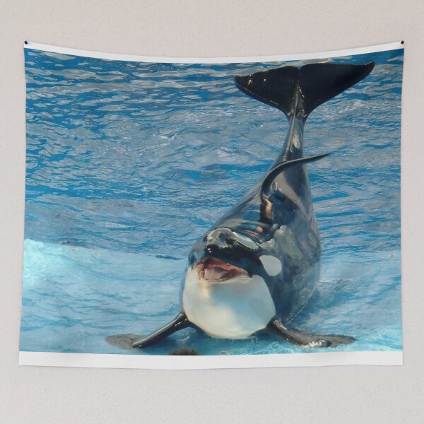 Item preview, Orca Killer Whale designed and sold by TheAnimalZ00.