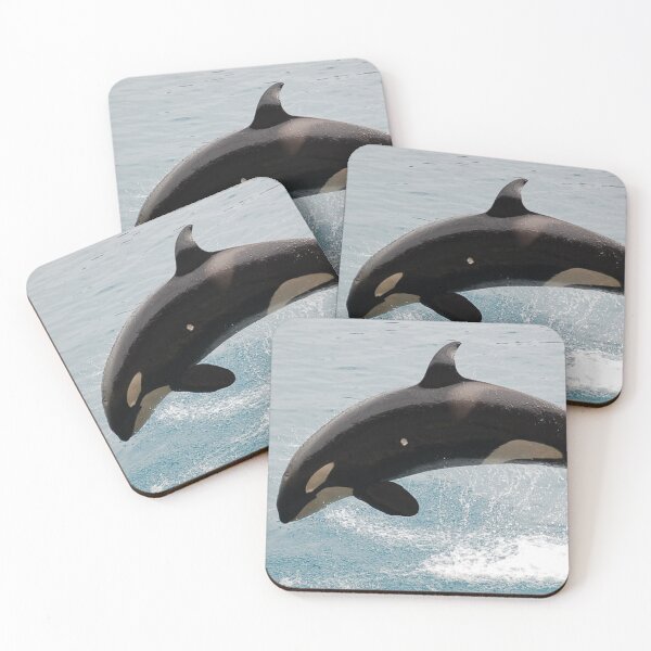 Item preview, Orca designed and sold by TheAnimalZ00.