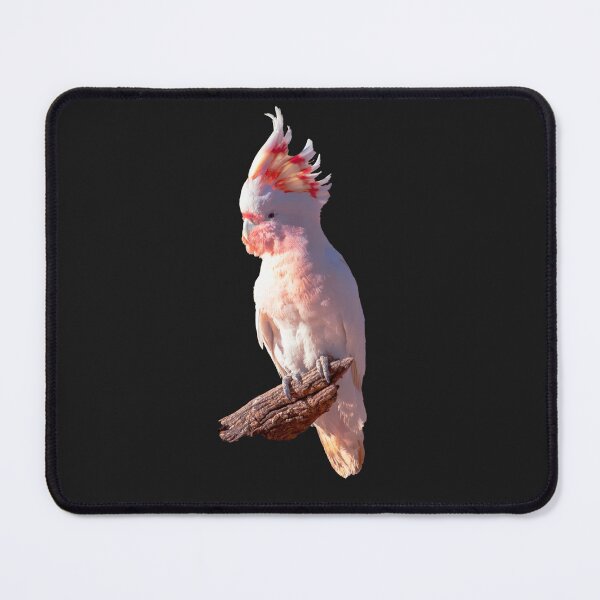 Item preview, Australian Bird Photography - Pink Cockatoo AKA Major Mitchell Cockatoo designed and sold by Ozjanette90.
