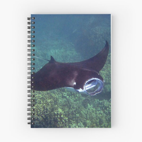 Item preview, Manta Ray designed and sold by TheAnimalZ00.