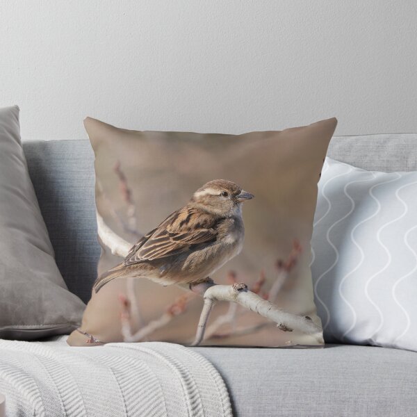 Female House Sparrow Throw Pillow