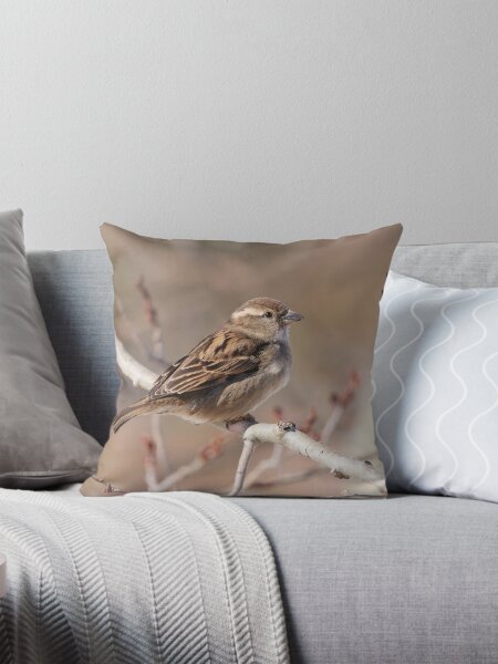 Female House Sparrow Throw Pillow