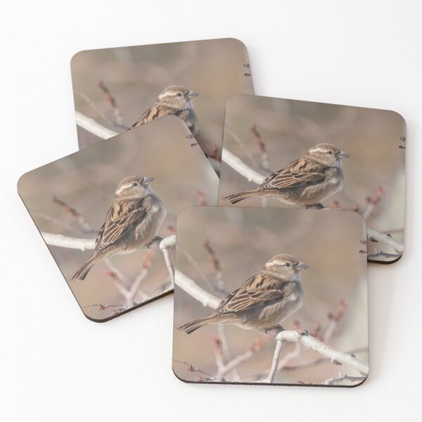 Item preview, Female House Sparrow designed and sold by Alyce Taylor.