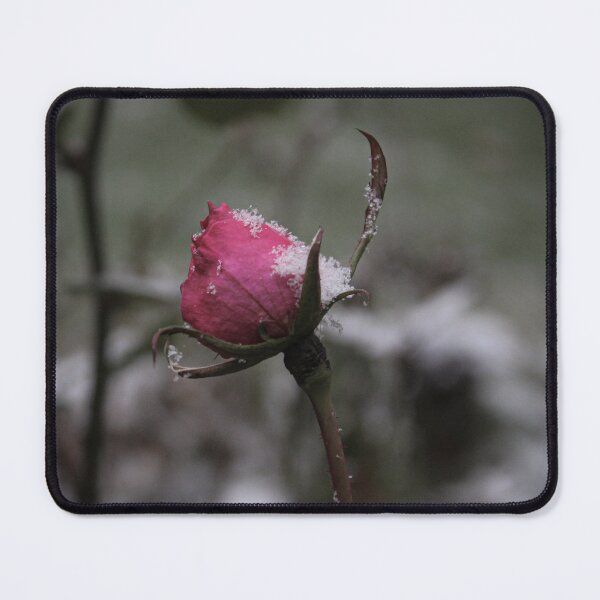 Item preview, Little Brier Rose designed and sold by Bri-bee.