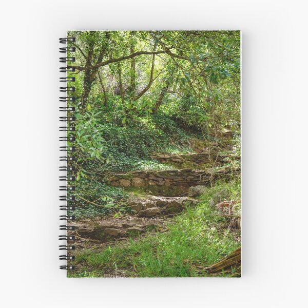 Item preview, Waterfall Gully Steps designed and sold by Elana Bailey.