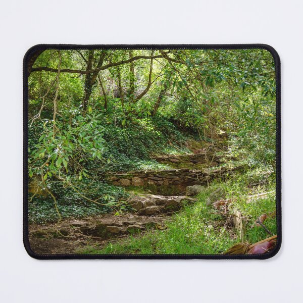 Item preview, Waterfall Gully Steps designed and sold by Elana Bailey.