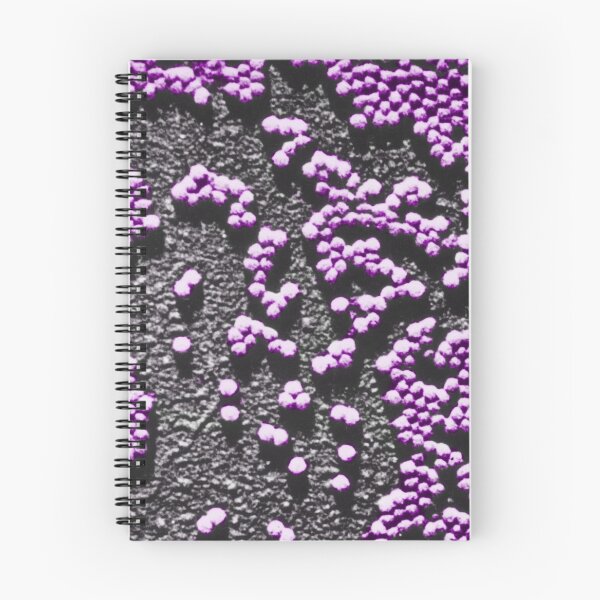 Item preview, Human Enterovirus, Poliovirus designed and sold by ScienceSource.
