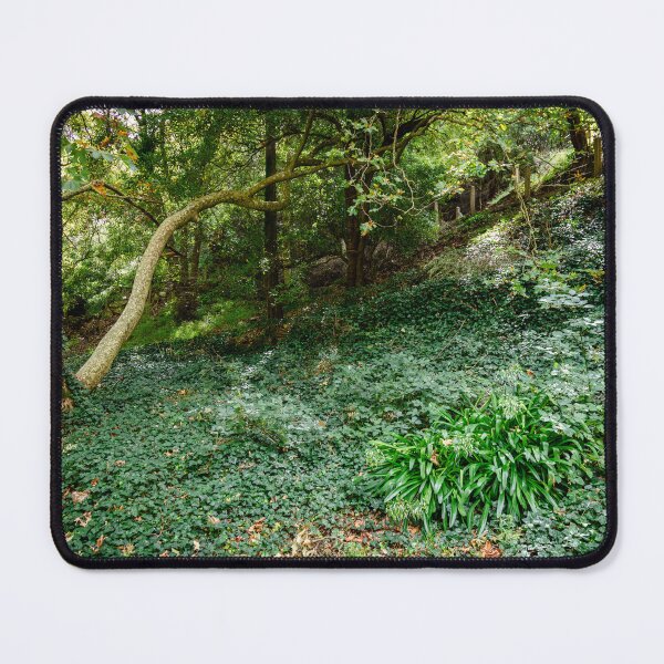 Item preview, Waterfall Gully Trees designed and sold by Elana Bailey.