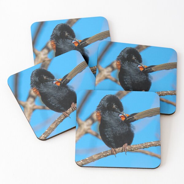 Item preview, Red-backed Fairy-wren designed and sold by Matt Vickery.