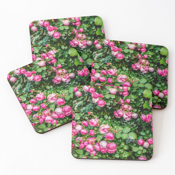 Item preview, Pink roses designed and sold by Elana Bailey.