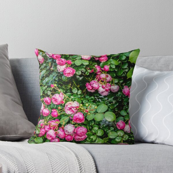 Item preview, Pink roses designed and sold by Elana Bailey.