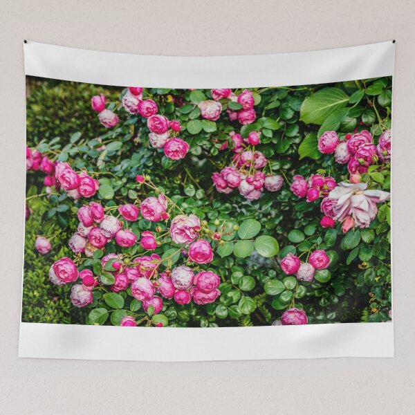 Item preview, Pink roses designed and sold by Elana Bailey.
