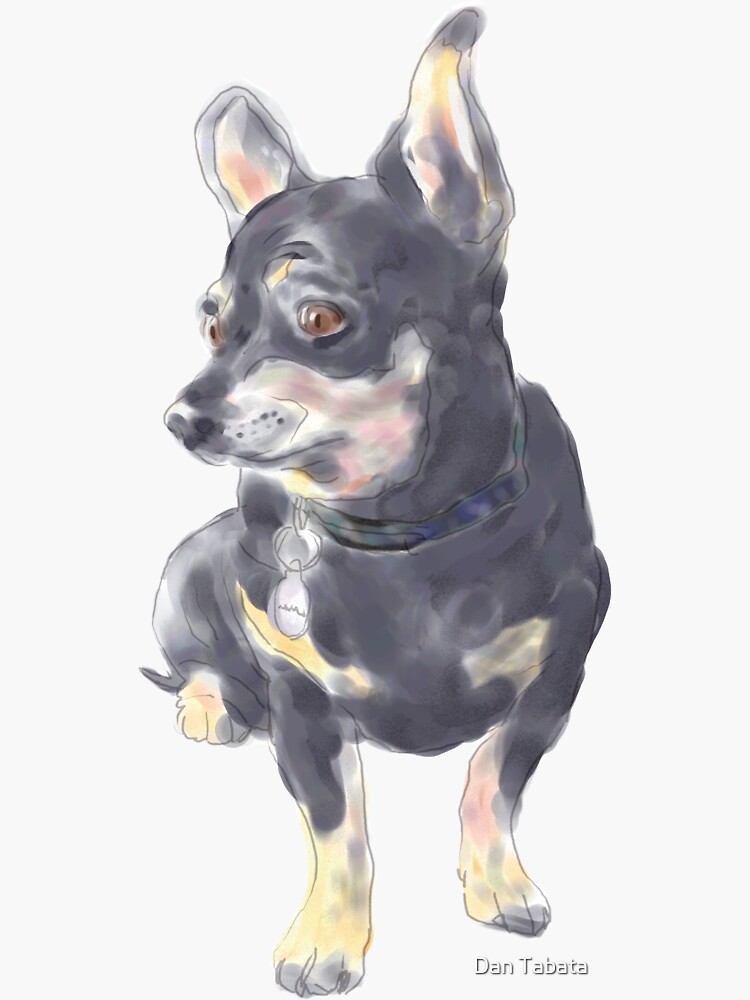 Little Dog Waiting by dmtab